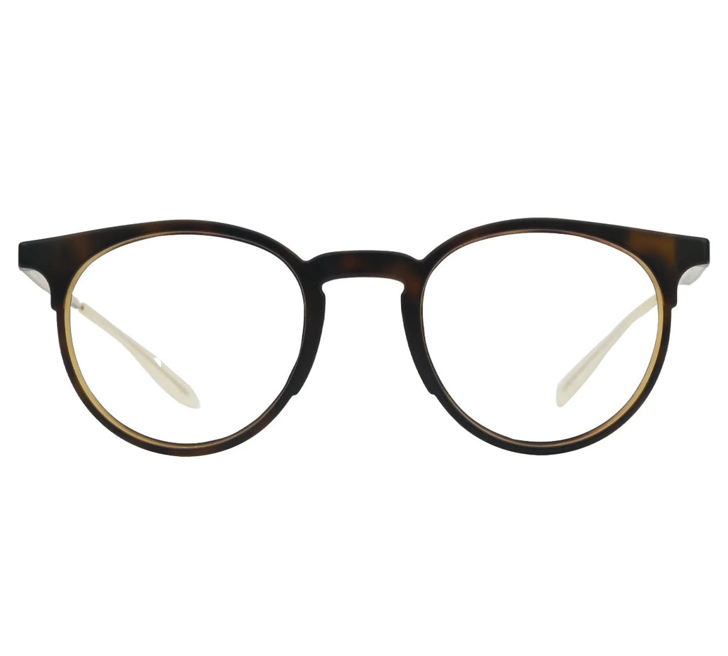 Carrera CA6665, Eyeglasses – Refined Style with Golden Accents