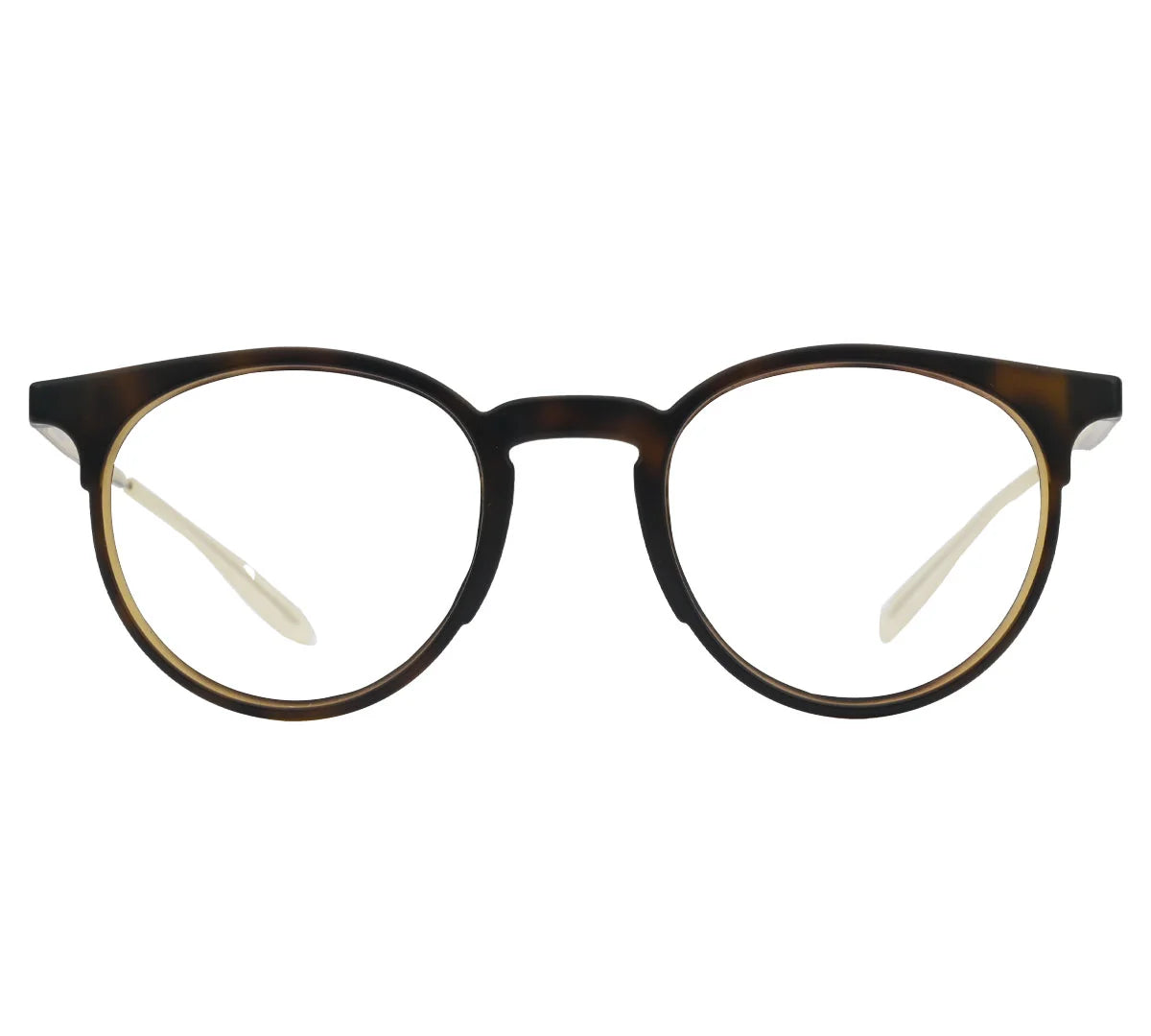 Carrera CA6665, Eyeglasses – Refined Style with Golden Accents