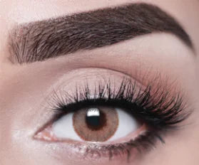 Joli One Day Collection Hazel Brown