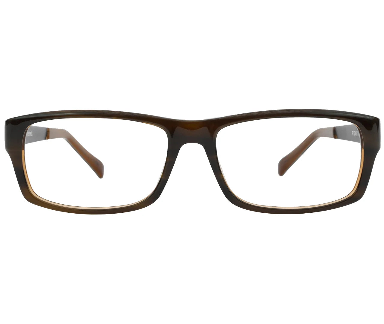 Rodenstock R5246, Eyeglasses – Classic Brown with Metallic Temples