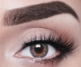 Joli One Day Collection Smokey Gray