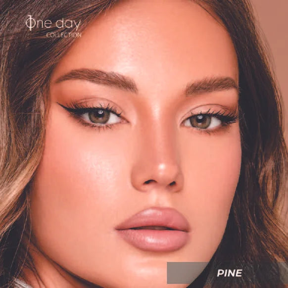 Bella One Day Collection Pine