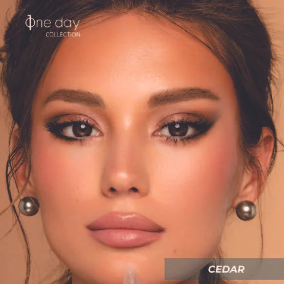 Bella One Day Collection Cedar