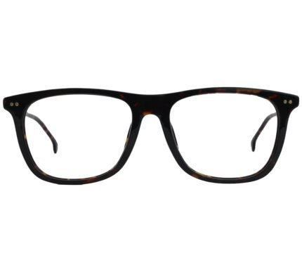 Retro Tortoise Shell Carrera 144V, Frame with Gold Accents - Eyekart Classic