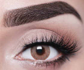 Joli One Day Collection Hazel Brown