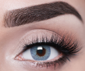 Joli Exotic Collection Maya Blue
