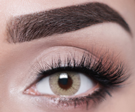 Joli Exotic Collection Queen Gold